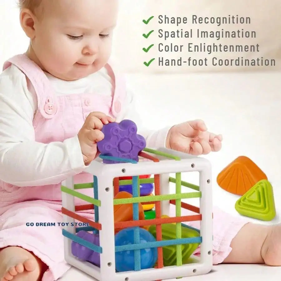Shape Fun