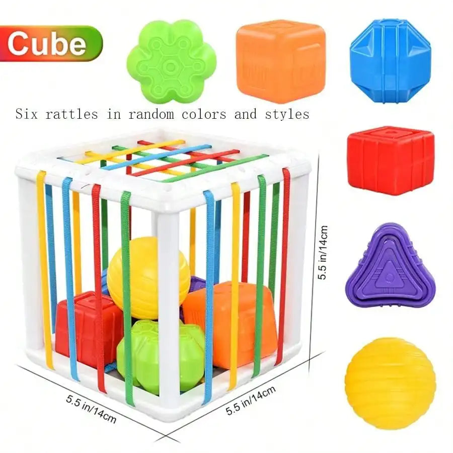 Shape Fun