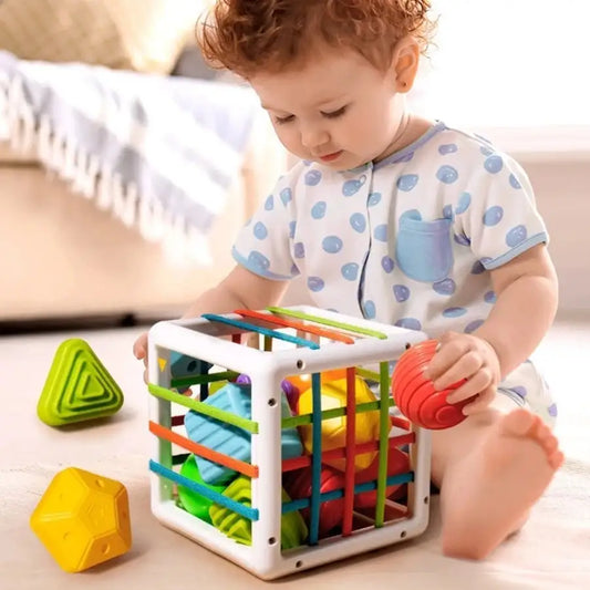 Shape Fun